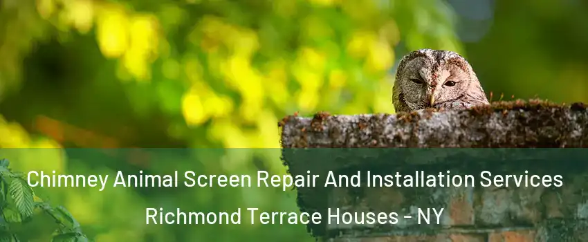 Chimney Animal Screen Repair And Installation Services Richmond Terrace Houses - NY