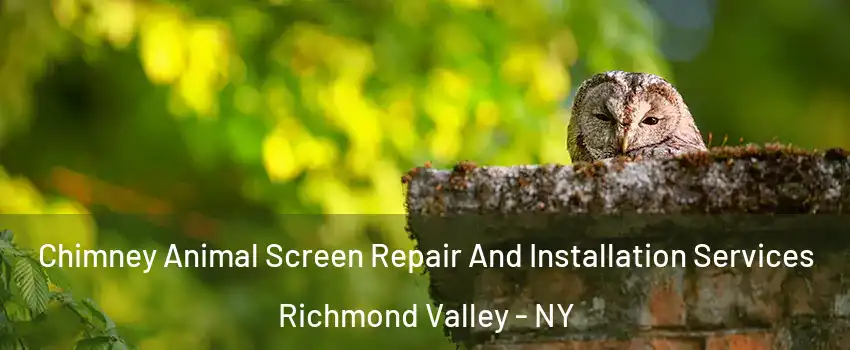 Chimney Animal Screen Repair And Installation Services Richmond Valley - NY