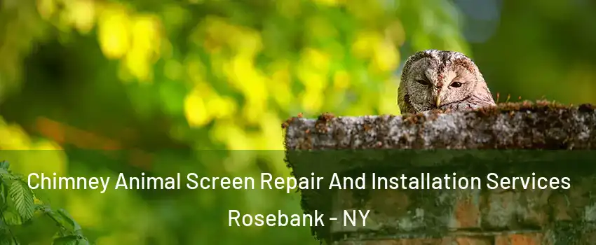 Chimney Animal Screen Repair And Installation Services Rosebank - NY