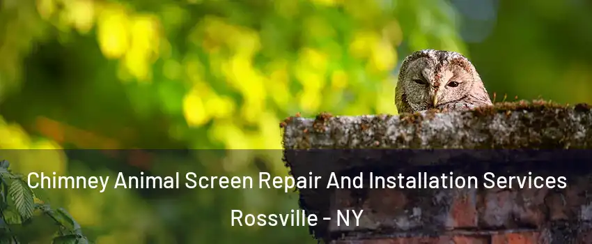 Chimney Animal Screen Repair And Installation Services Rossville - NY