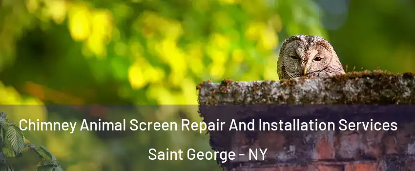 Chimney Animal Screen Repair And Installation Services Saint George - NY