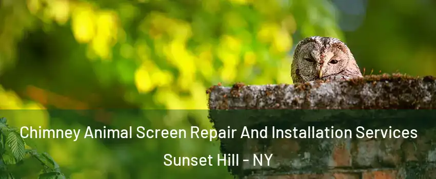 Chimney Animal Screen Repair And Installation Services Sunset Hill - NY