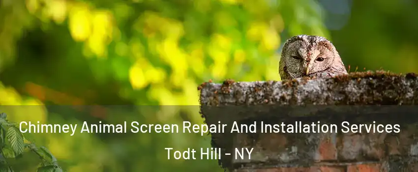 Chimney Animal Screen Repair And Installation Services Todt Hill - NY