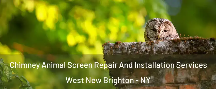 Chimney Animal Screen Repair And Installation Services West New Brighton - NY