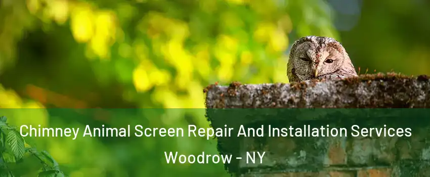 Chimney Animal Screen Repair And Installation Services Woodrow - NY