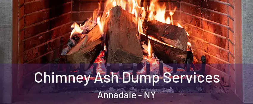 Chimney Ash Dump Services Annadale - NY