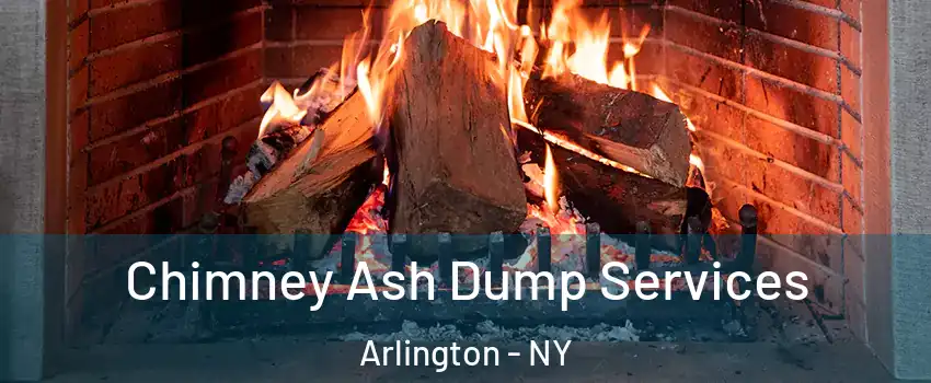 Chimney Ash Dump Services Arlington - NY