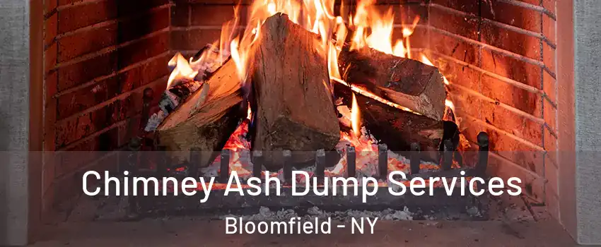 Chimney Ash Dump Services Bloomfield - NY