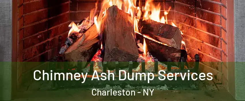 Chimney Ash Dump Services Charleston - NY