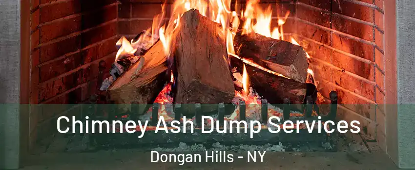 Chimney Ash Dump Services Dongan Hills - NY