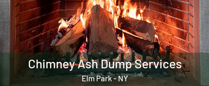 Chimney Ash Dump Services Elm Park - NY