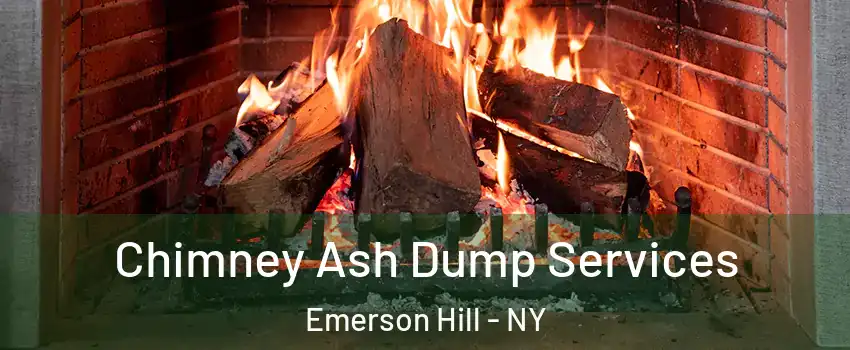 Chimney Ash Dump Services Emerson Hill - NY