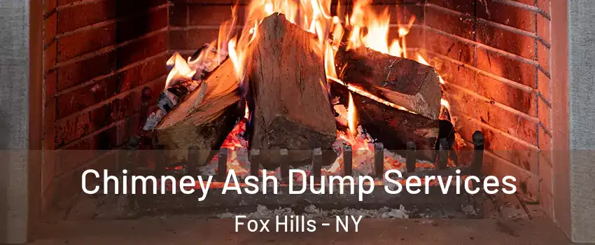 Chimney Ash Dump Services Fox Hills - NY