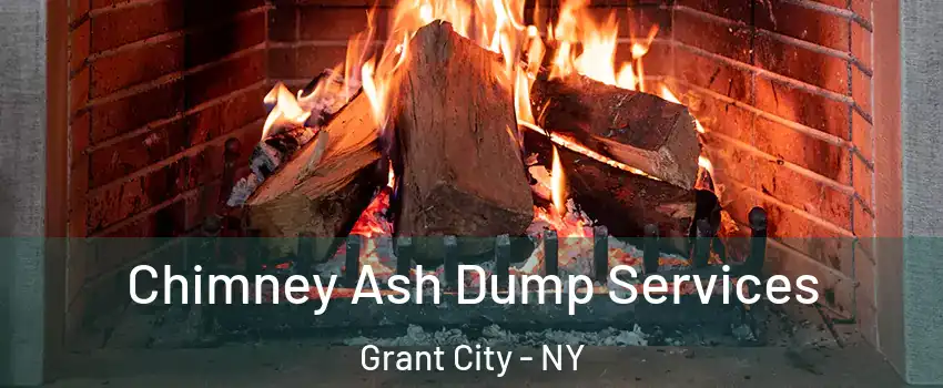 Chimney Ash Dump Services Grant City - NY