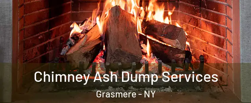 Chimney Ash Dump Services Grasmere - NY