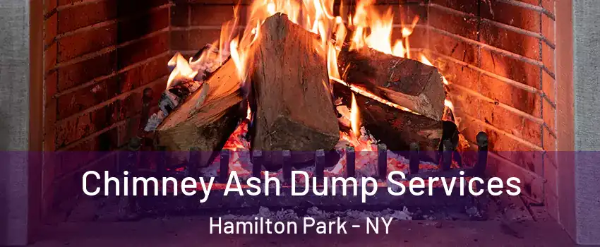 Chimney Ash Dump Services Hamilton Park - NY