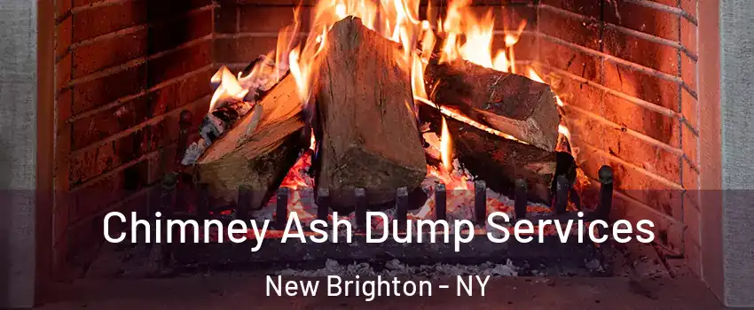 Chimney Ash Dump Services New Brighton - NY