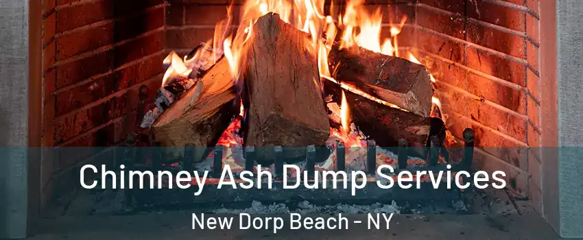 Chimney Ash Dump Services New Dorp Beach - NY