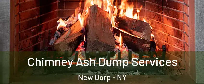 Chimney Ash Dump Services New Dorp - NY