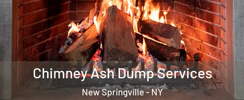 Chimney Ash Dump Services New Springville - NY