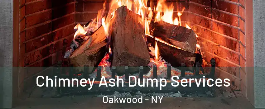 Chimney Ash Dump Services Oakwood - NY