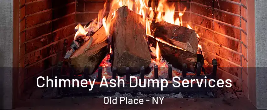 Chimney Ash Dump Services Old Place - NY