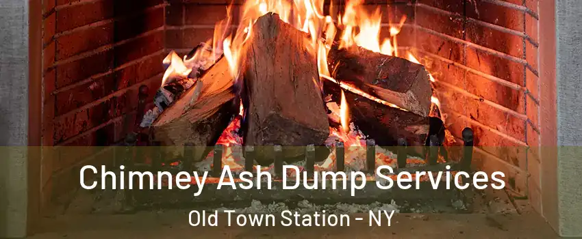 Chimney Ash Dump Services Old Town Station - NY