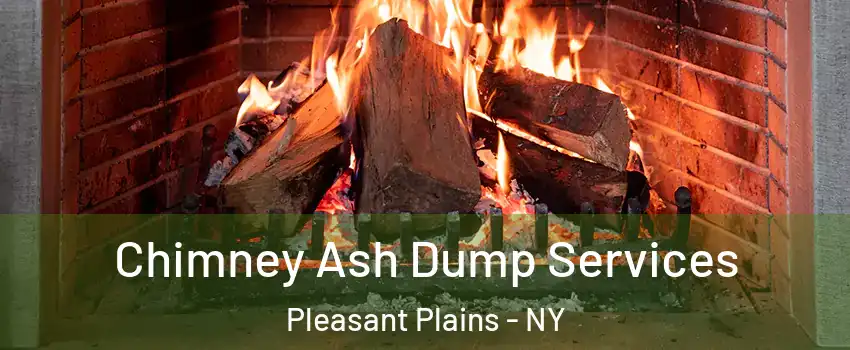 Chimney Ash Dump Services Pleasant Plains - NY