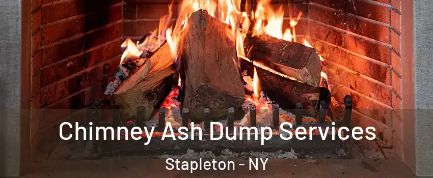 Chimney Ash Dump Services Stapleton - NY