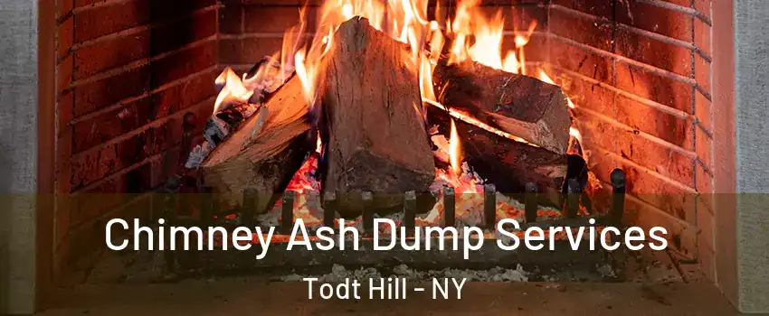 Chimney Ash Dump Services Todt Hill - NY