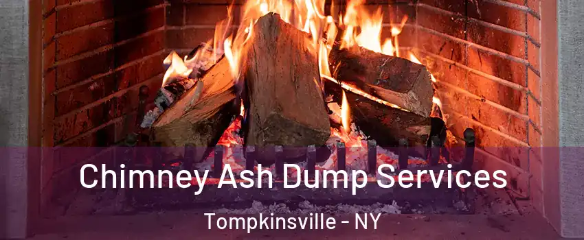 Chimney Ash Dump Services Tompkinsville - NY