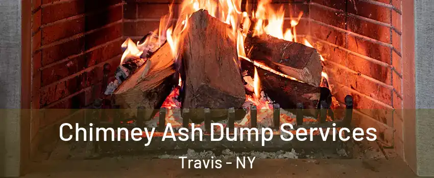 Chimney Ash Dump Services Travis - NY