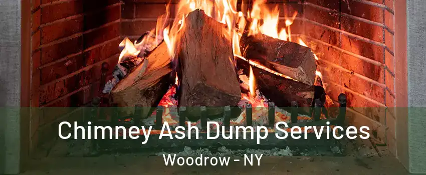 Chimney Ash Dump Services Woodrow - NY