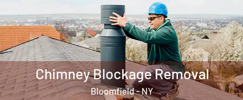 Chimney Blockage Removal Bloomfield - NY