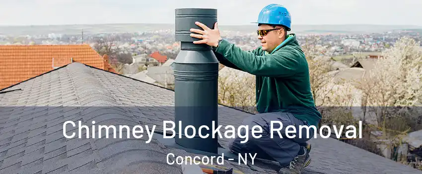 Chimney Blockage Removal Concord - NY