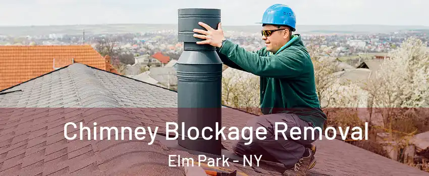 Chimney Blockage Removal Elm Park - NY