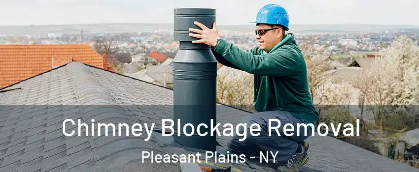 Chimney Blockage Removal Pleasant Plains - NY