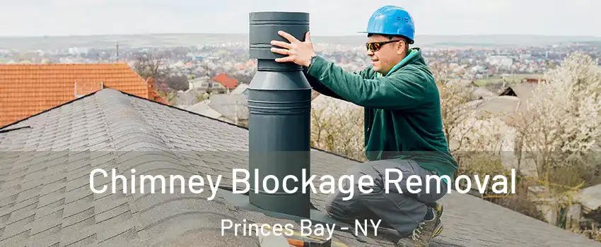 Chimney Blockage Removal Princes Bay - NY