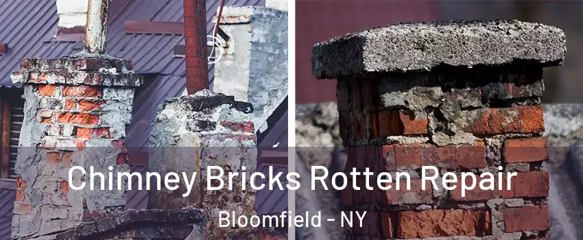 Chimney Bricks Rotten Repair Bloomfield - NY