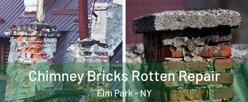 Chimney Bricks Rotten Repair Elm Park - NY