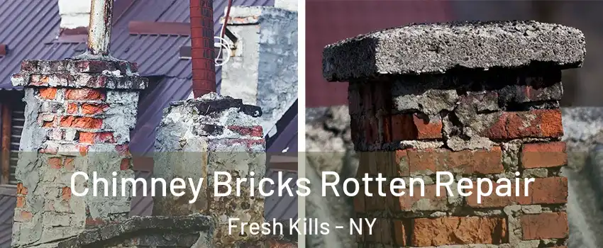 Chimney Bricks Rotten Repair Fresh Kills - NY