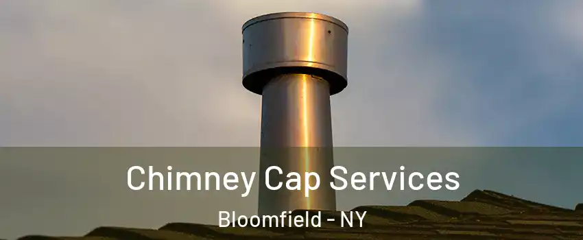 Chimney Cap Services Bloomfield - NY