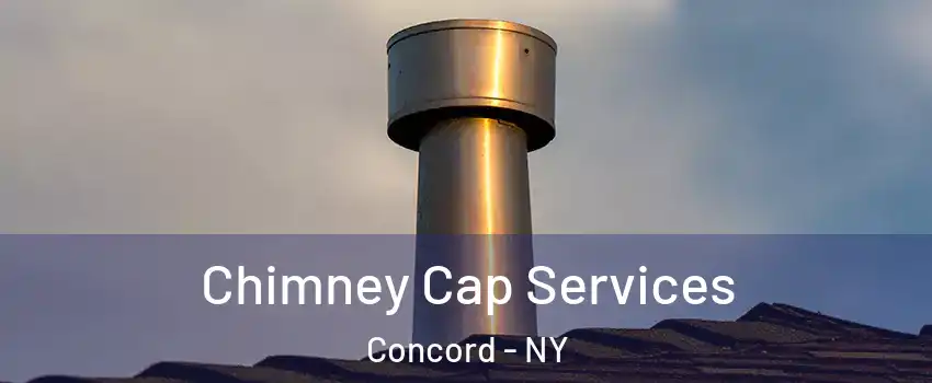 Chimney Cap Services Concord - NY