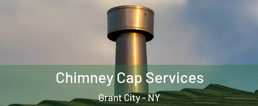 Chimney Cap Services Grant City - NY