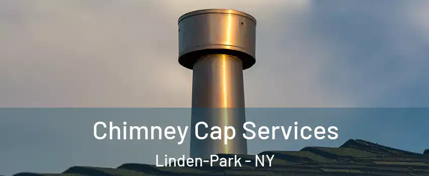 Chimney Cap Services Linden-Park - NY