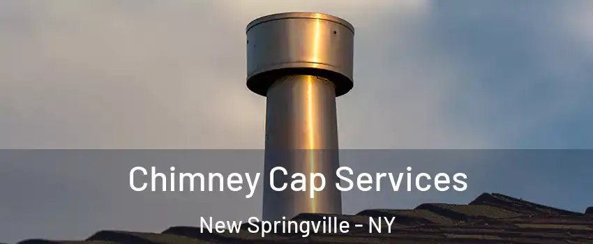 Chimney Cap Services New Springville - NY