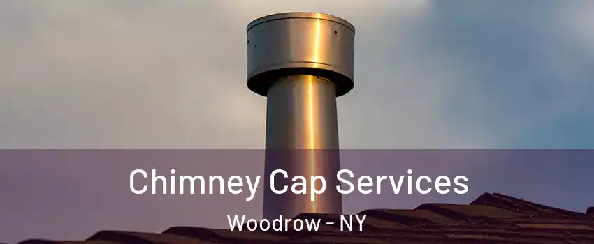 Chimney Cap Services Woodrow - NY