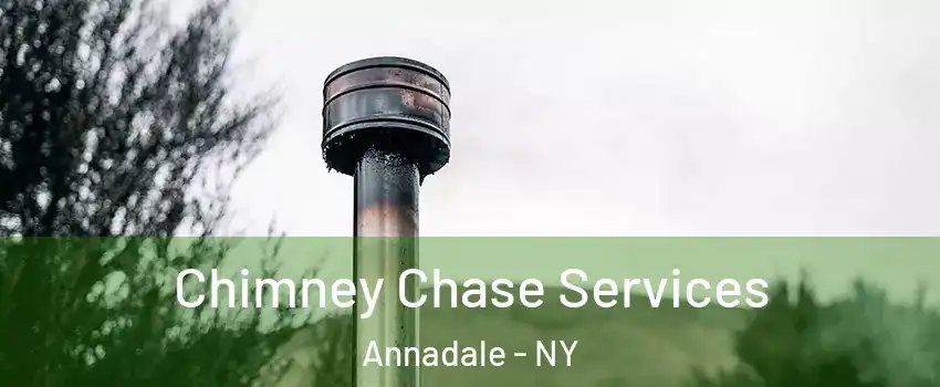 Chimney Chase Services Annadale - NY