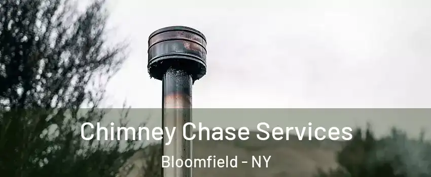 Chimney Chase Services Bloomfield - NY