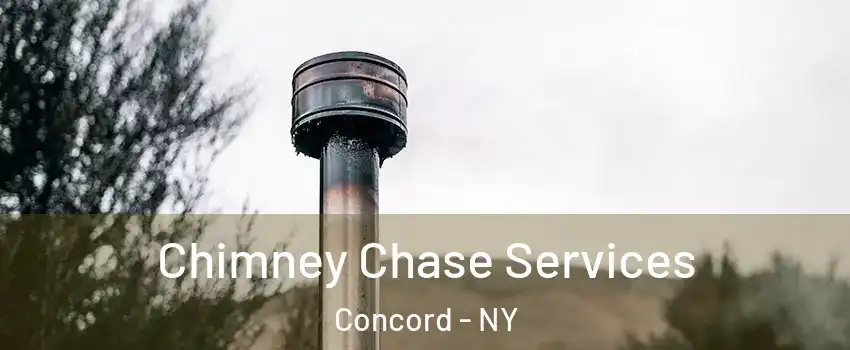 Chimney Chase Services Concord - NY